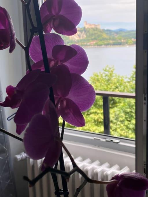 Babalu Con Vista Lago Арона Екстериор снимка